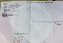 Bán lô góc 48m2 tại thôn Đông, Việt Hùng, Đông Anh... Bán đất tại Thư Lâm, Hà Nội 01
