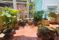 Bán nhà mặt phố 3 tầng 84m2 hướng Nam tại Tân Phú giá 11 tỷ... Bán nhà mặt phố tại Phú Thạnh, Hồ Chí Minh 08