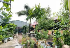 Nhà mặt phố Tân Đông Hiệp siêu rộng, kinh doanh đỉnh... Bán nhà mặt phố tại Tân Đông Hiệp, Hồ Chí Minh 04