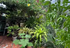 Cơ hội vàng sở hữu nhà 3 tầng siêu đẹp đường Hoà Bình, Tân Phú giá 6.5 tỷ... Bán nhà riêng tại Tân Phú, Hồ Chí Minh 14
