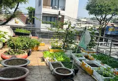 Bán nhà mặt phố 136,3m², 4 tầng, khu vực phường Tam Bình, Tp. Thủ Đức... Bán nhà mặt phố tại Tam Bình, Hồ Chí Minh 03