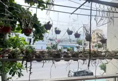 Cơ hội vàng sở hữu nhà mặt phố Yết Kiêu trung tâm sầm uất, giá tốt hiếm có... Bán nhà mặt phố tại Hồng Gai, Quảng Ninh 11