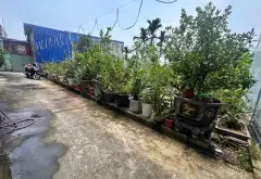 Đất trung tâm Kiến An diện tích lý tưởng, pháp lý rõ ràng, tiềm năng đầu tư... Bán đất tại Phù Liễn, Hải Phòng 03