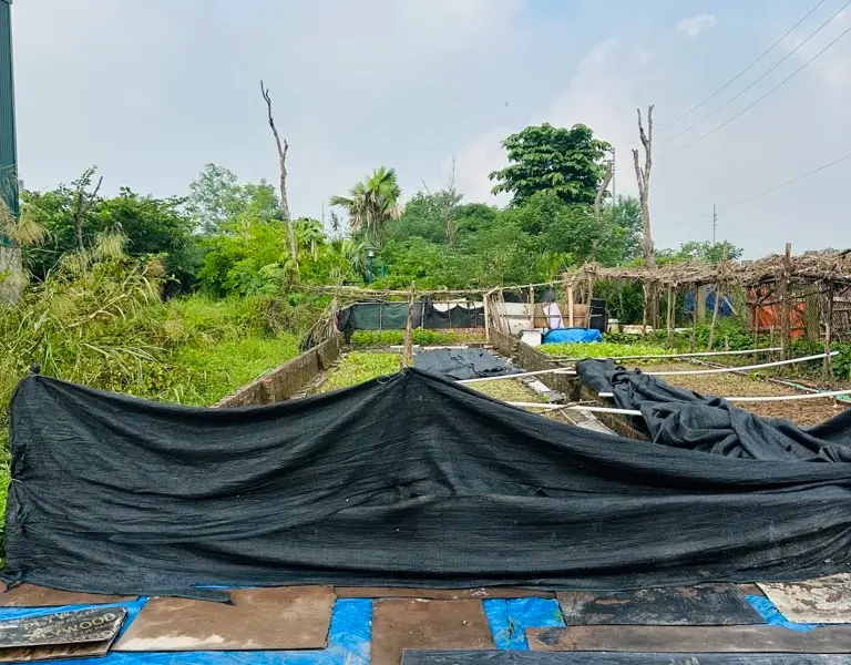 Bán lô đất 60m² vị trí đẹp tại khu dịch vụ 25.2ha Vân Canh, thuận tiện giao thông... Bán owner_side tại Hoài Đức, Hà Nội 01