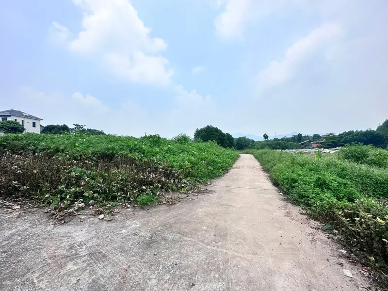 Bán đất phân lô xã Trung Giã, Sóc Sơn, ô tô lưu thông, giá đầu tư... Bán đất tại Trung Giã, Hà Nội 01