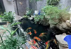 Biệt thự cao cấp 4 tầng tại khu An Trực, quận Hồng Bàng... Bán bất động sản khác tại Hồng Bàng, Hải Phòng 03