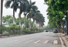 Bán đất 120m2 xã Đa Tốn, Hà Nội, mặt tiền 6.6m, giá 9.5 tỷ. Ô tô, kinh doanh, hàng xóm Ecopark... Bán đất tại Bát Tràng, Hà Nội 07