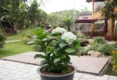 Nhà mặt phố ven sông cực hiếm, tầm view siêu đẹp tại Quốc Oai... Bán nhà mặt phố tại Hà Đông, Hà Nội 07