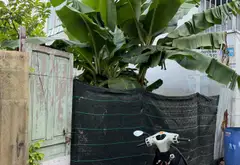 Bán nhà riêng 1 tầng tại phường Thới An, Hồ Chí Minh, diện tích 88,4 m2, pháp lý rõ ràng... Bán nhà riêng tại Thới An, Hồ Chí Minh 01