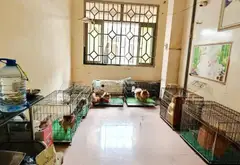 Bán nhà 4 tầng hẻm xe hơi, khu dân trí cao ở quận 12... Bán nhà riêng tại Tân Phú, Hồ Chí Minh 03
