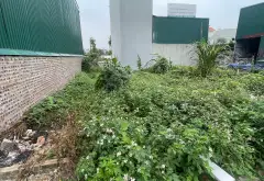 Mảnh đất vàng ở Vân Canh - Cơ hội đầu tư sinh lời... Bán đất tại Xuân Phương, Hà Nội 04