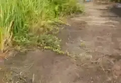 Cơ hội sở hữu lô đất đẹp chuẩn vị trí vàng tại thôn Hầu, Lâm Động... Bán đất tại Thiên Hương, Hải Phòng 05