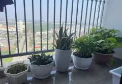 4 TỶ CHCC 2 NGỦ 2VS BAN CÔNG THOÁNG VIEW ĐẸP... Bán căn hộ chung cư tại Xuân Phương, Hà Nội 03