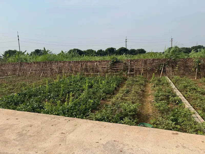 Bán đất phân lô xã Triệu Việt Vương, Hưng Yên, mặt tiền rộng, pháp lý đầy đủ... Bán đất tại Triệu Việt Vương, Hưng Yên 01