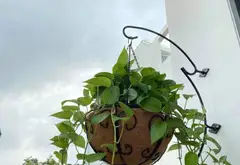 Cơ hội hiếm có: Nhà riêng 3 tầng Quận 8 giá chỉ 6.2 tỷ còn thương lượng... Bán nhà riêng tại Chánh Hưng, Hồ Chí Minh 14