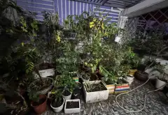 Bán nhà riêng 4 tầng Đào Tông Nguyên, diện tích 81m², mặt tiền 6m, giá 8.3 tỷ... Bán nhà riêng tại Nhà Bè, Hồ Chí Minh 06