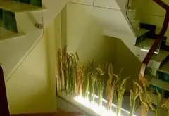 Nhà Mặt Phố Bàu Cát - Vừa Ở Vừa Kinh Doanh Tốt... Bán nhà mặt phố tại Tân Bình, Hồ Chí Minh 19