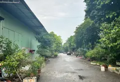 💥 CƠ HỘI SỞ HỮU ĐẤT 200M² TẠI BẮC TỪ SƠN

📍 Tân Hồng, Từ Sơn, Bắc Ninh.
📐 200m² – mặt tiền rộng,... Bán kho, nhà xưởng tại Từ Sơn, Bắc Ninh 12