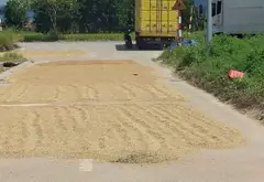 Lô đất góc 2 mặt tiền siêu đẹp tại Hiền Lương, Nội Bài... Bán đất tại Nội Bài, Hà Nội 03