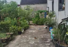 Lô đất vuông vắn hướng Tây Bắc tại Thủy Nguyên, Hải Phòng, diện tích rộng 66.9 m²... Bán đất tại Bạch Đằng, Hải Phòng 01