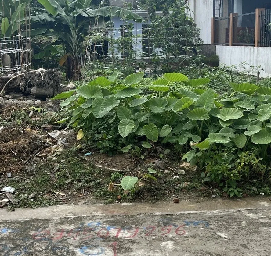 Mảnh đất rộng 197m² mặt tiền 8m ngay cạnh KCN Namura mở ra cơ hội đầu tư hấp dẫn... Bán đất tại An Hưng, Hải Phòng 01