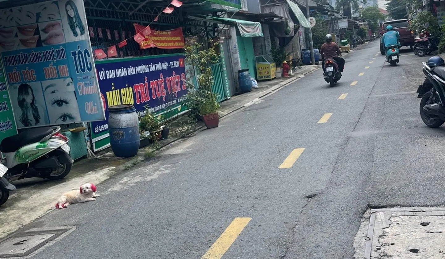 Nhà Mặt Phố Tân Thới Hiệp - Giá Ưu Đãi, Sống Động Kinh Doanh... Bán nhà mặt phố tại Tân Thới Hiệp, Hồ Chí Minh 01