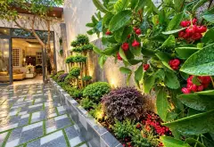 🏡 NHÀ VƯỜN ĐẸP – HUỲNH TẤN PHÁT NGAY TRƯỜNG LÂM VĂN BỀN, CẠNH Q7 - Nhỉnh 5₫... Bán nhà riêng tại Nhà Bè, Hồ Chí Minh 01