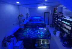 Bán gấp nhà mặt phố 2 thoáng, Vương Thừa Vũ, vỉa hè đá bóng, kinh doanh tấp lập, giá chào 42.5 tỷ... Bán nhà mặt phố tại Khương Đình, Hà Nội 03