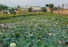 Bán đất hơn 6300m2 có thổ cư tại Xuân Thới Sơn, giá 54 tỷ... Bán đất tại Xuân Thới Sơn, Hồ Chí Minh 03