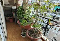 Nhà mặt tiền rộng 6m, 6 tầng ngay Phan Xích Long, Phú Nhuận... Bán nhà mặt phố tại Đức Nhuận, Hồ Chí Minh 11