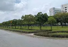Đất Vườn Lớn Gần Bệnh Viện Nhi Đồng 3 - Cơ Hội Vàng Đầu Tư... Bán đất tại Tân Nhựt, Hồ Chí Minh 01