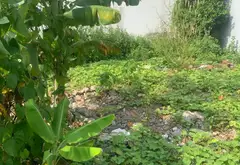 Đất Tân Dương Thủy Nguyên 60m2, mặt tiền 4.1m, ô tô tránh nhau thoải mái... Bán đất tại Thủy Nguyên, Hải Phòng 02