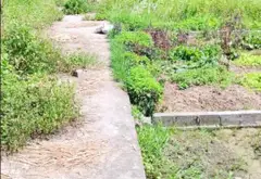 Cơ hội sở hữu đất thôn An Thái giá tốt, vị trí đắc địa tại Khoái Châu... Bán đất tại Triệu Việt Vương, Hưng Yên 06