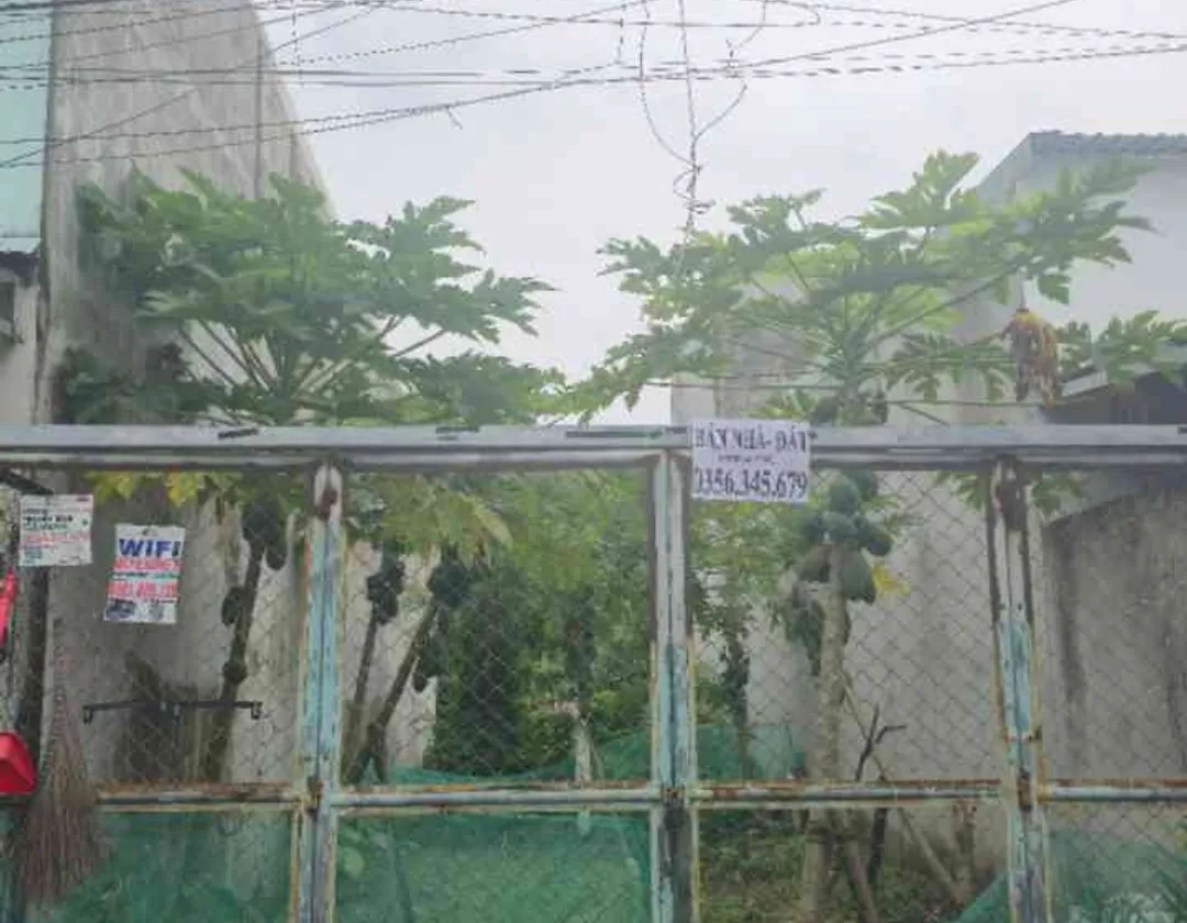 Vi trí đắc địa . Gần trưởng học đương văn thi . Gần chơ nhỏ . .dien tích 63m2 gia nhỉnh 7ty... Bán đất tại Tăng Nhơn Phú, Hồ Chí Minh 01