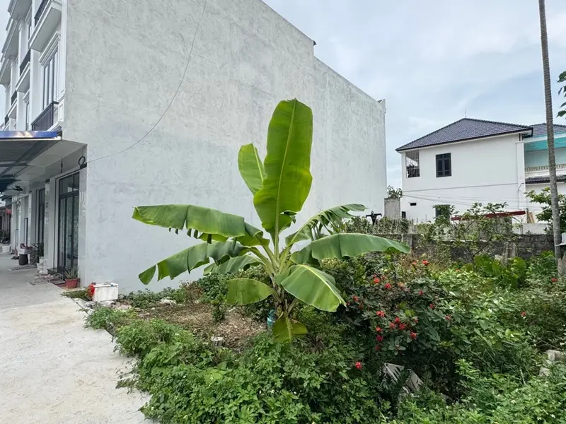 Cơ hội hiếm có sở hữu đất đẹp khu Hưng Đạo Dương Kinh Hải Phòng... Bán đất tại Hưng Đạo, Hải Phòng 01