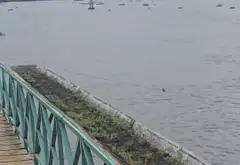 3000M2 ♻️ BIỆT THỰ ĐẲNG CẤP THƯỢNG LƯU | LÁI THIÊU | BẾN DU THUYỀN | SÔNG SÀI GÒN... Bán nhà mặt phố tại Lái Thiêu, Hồ Chí Minh 01