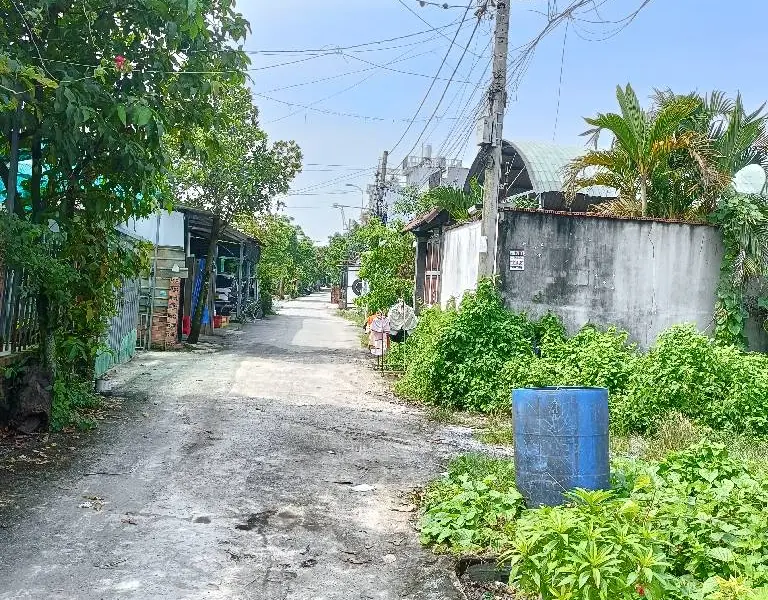 Bán đất thổ cư 1166m2 mặt tiền 24m tại xã Bình Mỹ, Củ Chi, hẻm xe tải 5m thuận tiện kinh doanh... Bán đất tại Bình Mỹ, Hồ Chí Minh 01