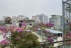 N.h.à mặt phố thuận tiện có tại Điện Biên Phủ, ngang 7mgiá hơn 9,7 tỷ - sổ hồng pháp lý.... Bán nhà mặt phố tại Thạnh Mỹ Tây, Hồ Chí Minh 07