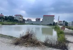 Cơ hội vàng sở hữu đất vàng 113m2 tại An Bình, giá tốt khó tìm... Bán đất tại Thuận Thành, Bắc Ninh 01