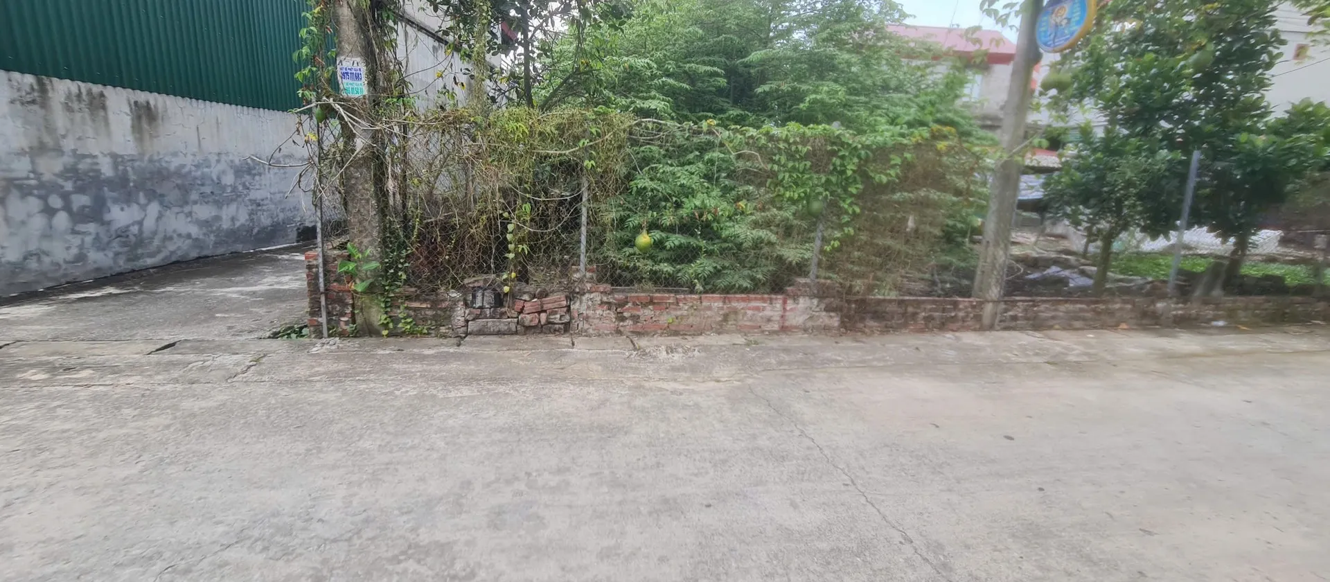 Bán đất lô góc mặt ngõ ô tô tại phường Ninh Xá, Bắc Ninh, 67.5 m²... Bán đất tại Ninh Xá, Bắc Ninh 01