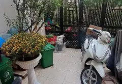 Cơ hội hiếm có sở hữu nhà 4 tầng sát Vạn Hạnh Mall, 45m2, khu an ninh, yên tĩnh... Bán owner_side tại Hòa Hưng, Hồ Chí Minh 01