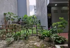 Đất phân lô vỉa hè siêu hot, giá đầu tư cực tốt... Bán đất tại Kiến Hưng, Hà Nội 05