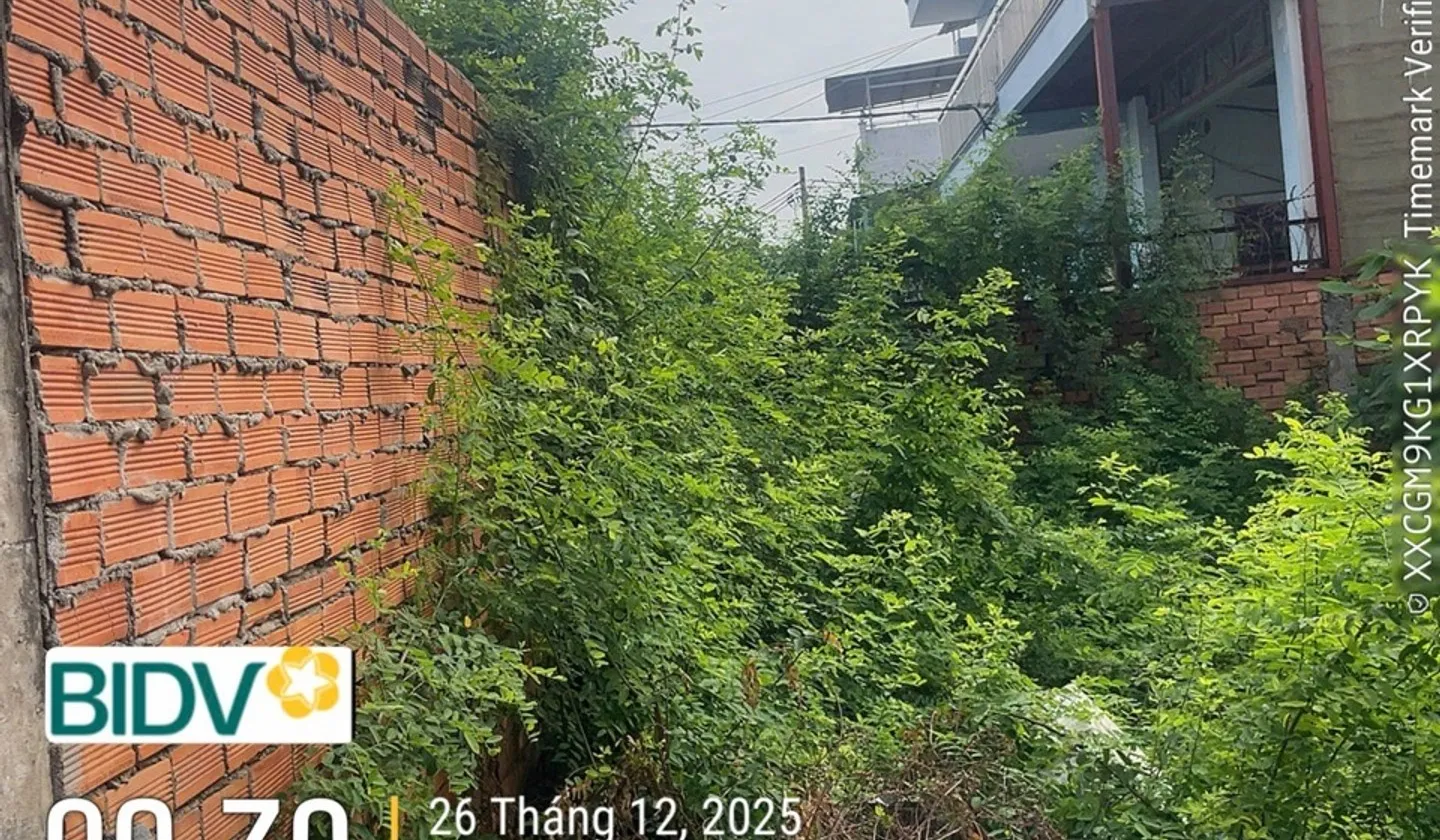 Bán đất 390m2 tại phường Tân Tạo, Hồ Chí Minh giá 18.5 tỷ... Bán đất tại Tân Tạo, Hồ Chí Minh 01