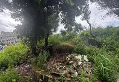 Bán đất diện tích lớn tại phường Bãi Cháy, Quảng Ninh với pháp lý cơ sở... Bán đất tại Bãi Cháy, Quảng Ninh 10