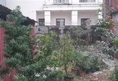 Bán đất mặt tiền 10m tại xã Thông Đông Tây, diện tích 207.5m2, pháp lý đầy đủ... Bán đất tại Phúc Thịnh, Hà Nội 01