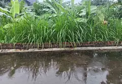 Đất đẹp phân lô ô tô vào, mặt tiền 10m tại Bắc Sơn... Bán đất tại Trung Giã, Hà Nội 05