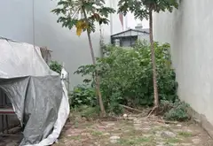 Đất Vàng Sóc Sơn – Cơ Hội Vàng Cho Doanh Nghiệp!... Bán đất tại Sóc Sơn, Hà Nội 01