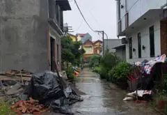 Bán đất thôn Đầu, xã Phụng Công, Văn Giang, Hưng Yên - mặt tiền 6m, đường ô tô 5m... Bán đất tại Phụng Công, Hưng Yên 06