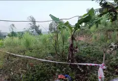 Bán đất 80m2, Ngõ 5 Tân Lập, phường Hà Lầm, Quảng Ninh, ô Tô, hướng nam phù hợp xây nhà ở... Bán đất tại Hà Lầm, Quảng Ninh 01