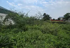 Bán đất vàng tại Vệ Linh, Phù Linh, Sóc Sơn - Diện tích 87.5m²... Bán đất tại Sóc Sơn, Hà Nội 02